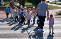 Więcej o: Znaki drogowe w grupie pszczółki