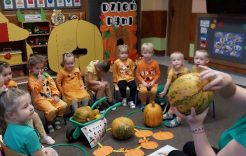 Więcej o: Dzień Dyni w grupie. Pszczółki.